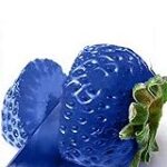 Análisis comparativo de los mejores productos de estética con fresa azul: ¿Cuál es tu aliado de belleza ideal?