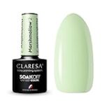 Análisis comparativo de esmaltes semipermanentes Claresa: ¡Descubre los mejores productos de estética!