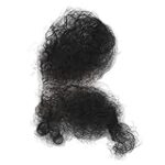 Los Mejores Simuladores de Cortes de Pelo Online para Mujeres: Análisis y Comparativa de Herramientas de Belleza